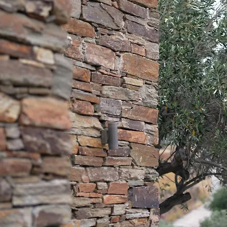 Prasini * Agios Sostis (Tinos)