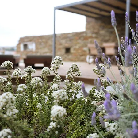 Prasini Agios Sostis (Tinos)