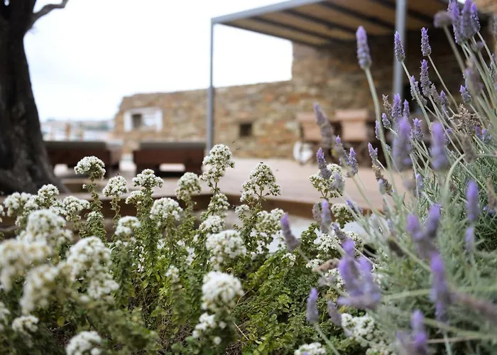 Prasini Άγιος Σώστης